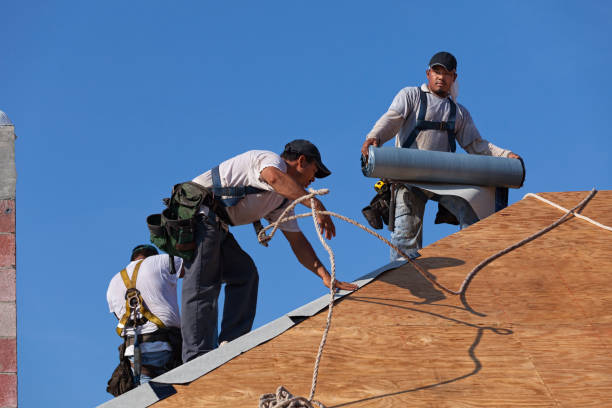 Best Roof Repair Services  in Milaca, MN